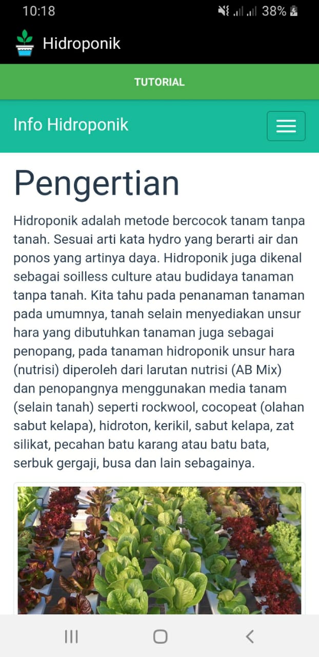 Aplikasi Budidaya Hidroponik
